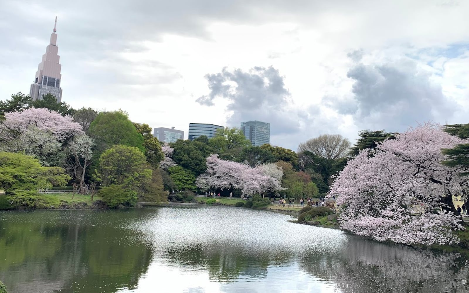 Lawn and trees inside Shinjuku Gyoen National Garden