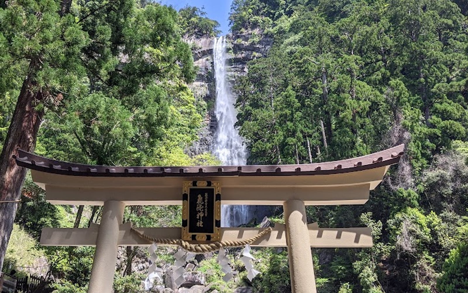 Nachi Falls descending through Wakayama's forest