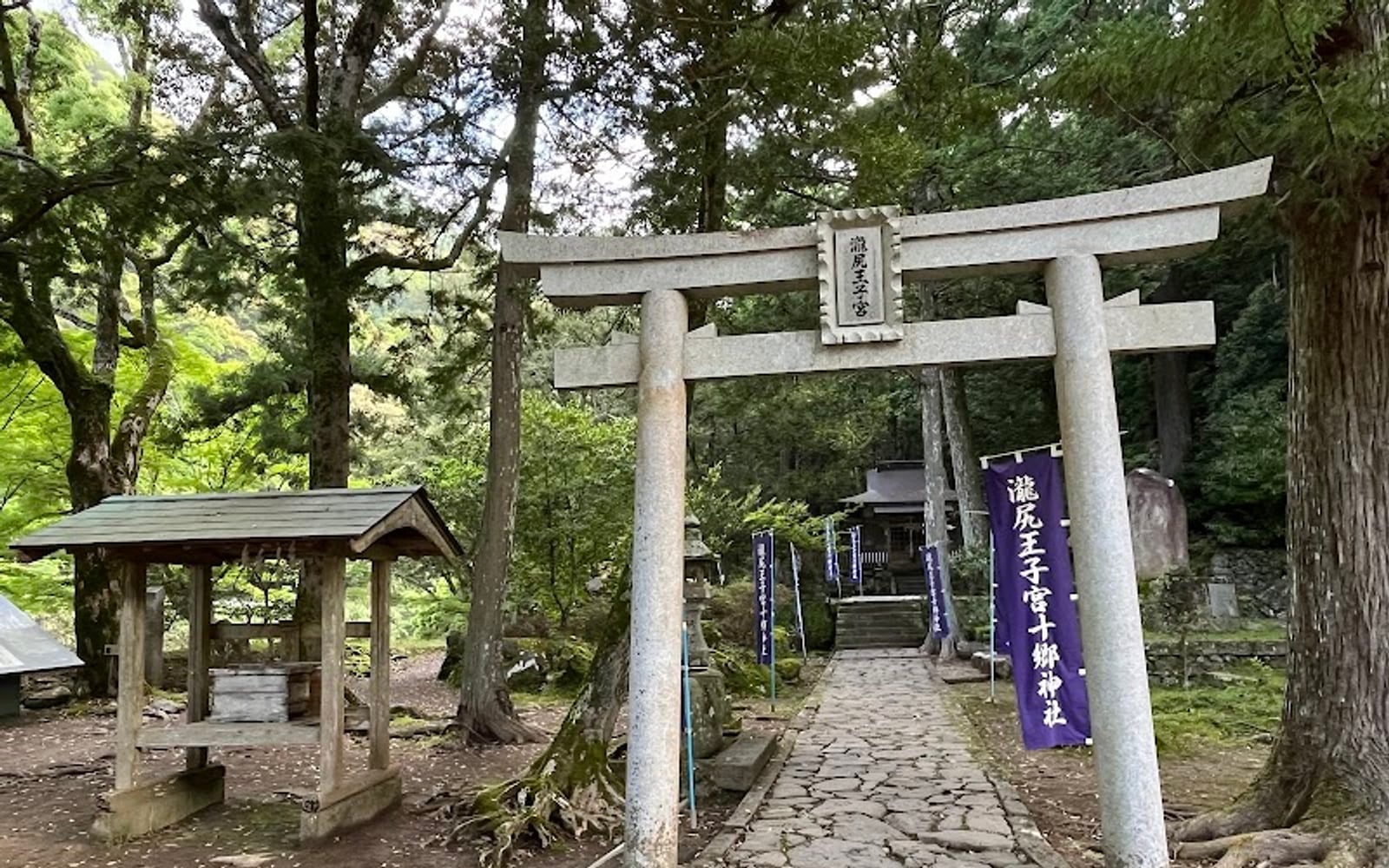 Forest entrance to the Kumano Kodo at Takijiri-oji