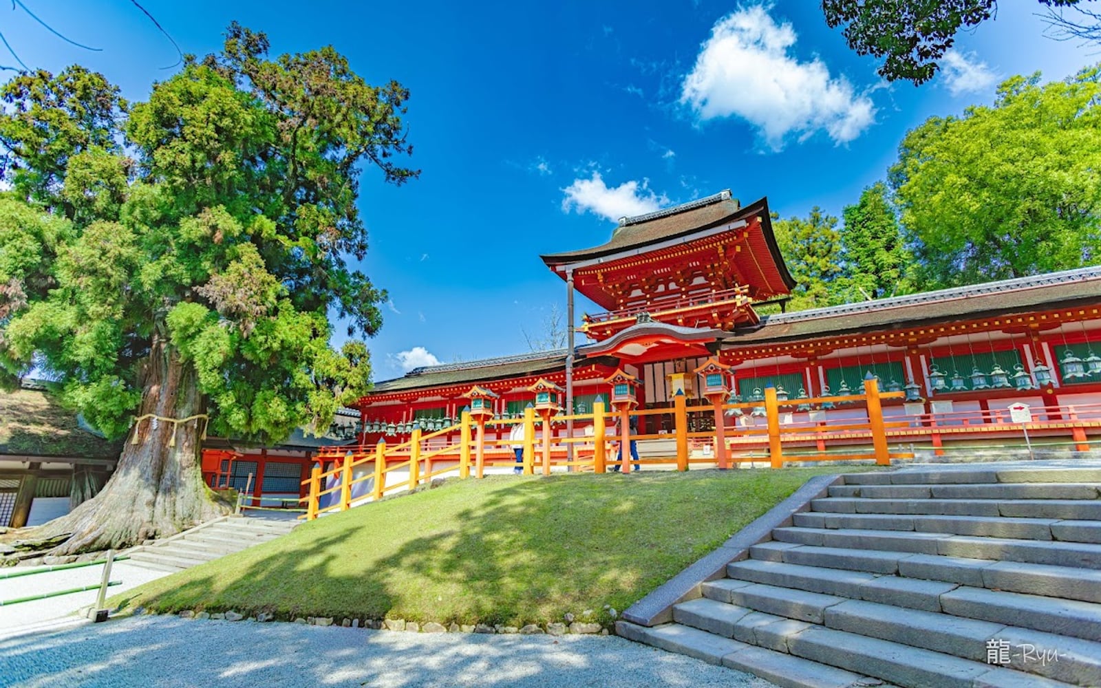 Stone lanterns lining the approach to Kasuga Taisha