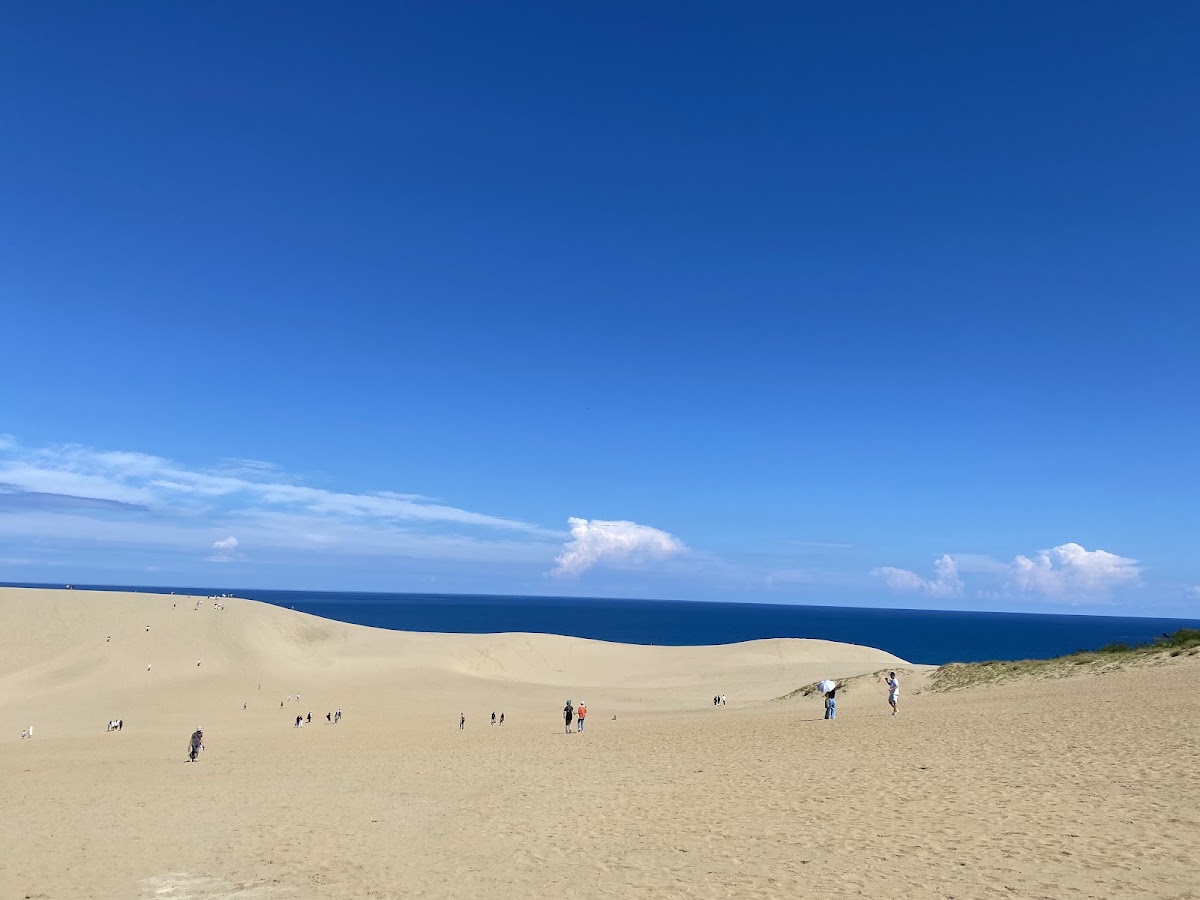 Rippled sand ridges at Tottori Sand Dunes above the Sea of Japan
